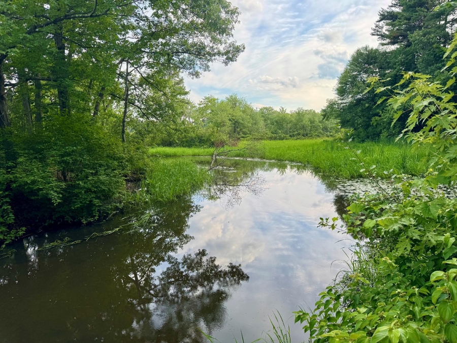 Image of Salmon Brook in Nashua